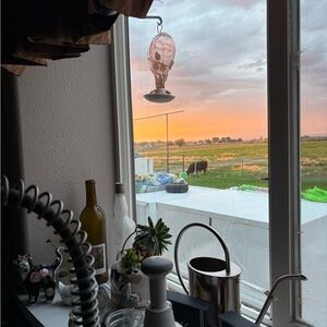 Meet your Posher, Leta